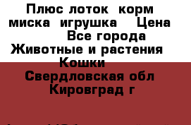 Плюс лоток, корм, миска, игрушка. › Цена ­ 50 - Все города Животные и растения » Кошки   . Свердловская обл.,Кировград г.